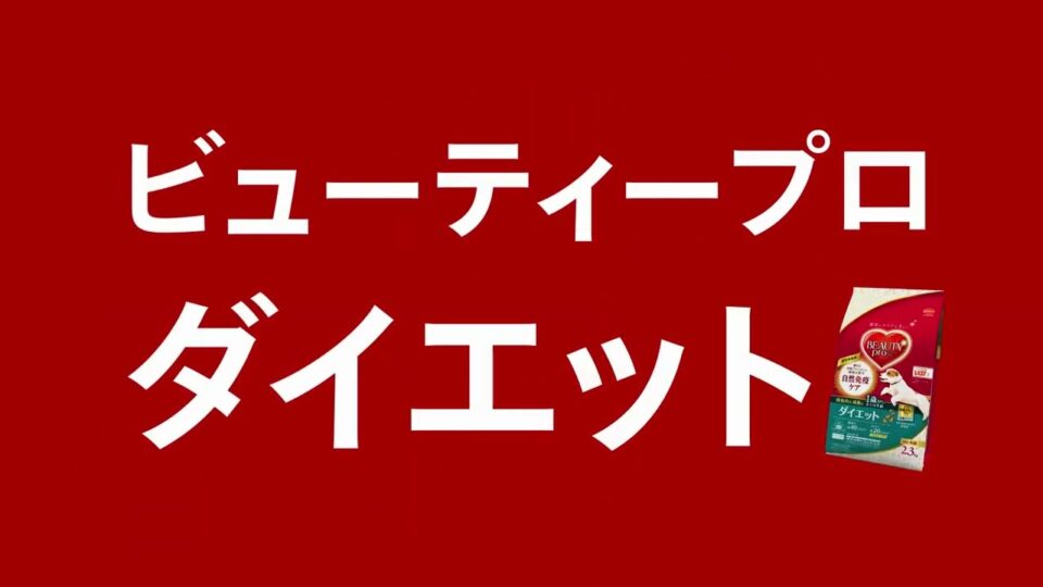 日本ペットフード　ビューティープロ ドッグ　「夢のダイエットフード」篇