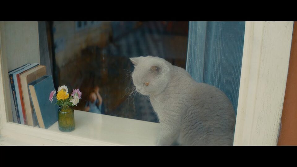 YKK AP　窓と猫の物語 「いつもの場所」篇