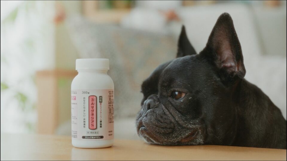 3AマグネシアS「ライバル」篇